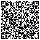 QR code with Publicdoman.com contacts