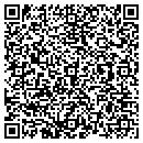 QR code with Cynergy Data contacts