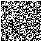 QR code with Publisher Consultant contacts