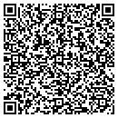 QR code with Publications By Tibbs contacts