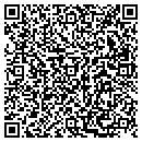 QR code with Publishing Systems contacts