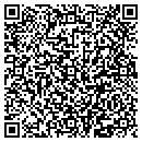 QR code with Premier Nadlan LLC contacts