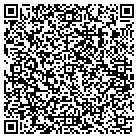 QR code with Block Data Systems LLC contacts