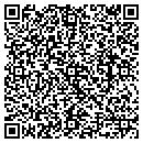 QR code with Capricorn Solutions contacts