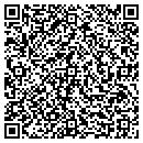 QR code with Cyber Edge Solutions contacts