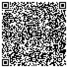 QR code with Bluetech It Solutions contacts