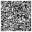 QR code with Psi Service contacts