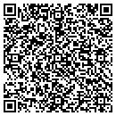 QR code with Cygnet Controls Inc contacts