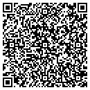 QR code with Blue Fox Web Design contacts