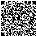 QR code with Premier Scan contacts