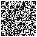 QR code with Digiscribe Inc contacts
