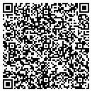 QR code with Premier Web Design contacts