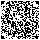 QR code with Pure Image Web Designs contacts
