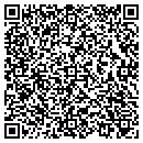 QR code with Bluedemon Web Design contacts