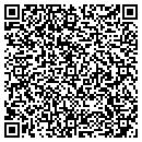 QR code with Cybernautic Design contacts