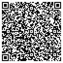 QR code with Proto Designs Online contacts