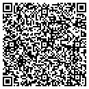 QR code with Pugh Web Designs contacts