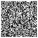 QR code with Pulsity Inc contacts
