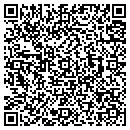 QR code with Pz's Hosting contacts