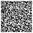 QR code with Premier Web Design contacts