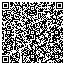 QR code with Cobra Telecom LLC contacts