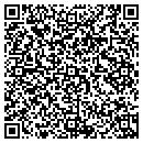 QR code with Protek Inc contacts