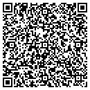 QR code with Precision Web Design contacts