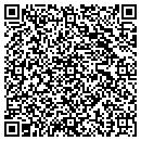QR code with Premise Concepts contacts