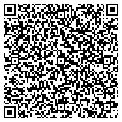 QR code with Blue Knight Web Design contacts