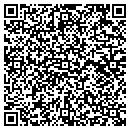 QR code with Project 7 Web Design contacts