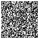 QR code with Pr Web Solutions contacts