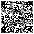 QR code with Cayuga Web Design contacts