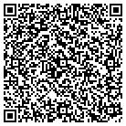 QR code with Blue Ridge Telecom Lp contacts