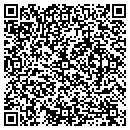QR code with Cyberpoint Designs LLC contacts