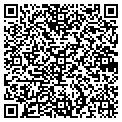 QR code with Fleet contacts