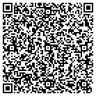 QR code with Blue Turtle Web Designs contacts