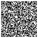 QR code with Pulse Co Division contacts