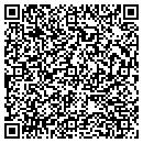 QR code with Puddletown Com LLC contacts