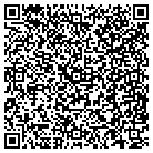 QR code with Pulse Recordings & Media contacts