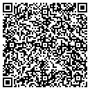 QR code with Cyberzones Network contacts
