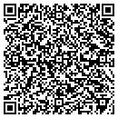 QR code with Professional Dynamics contacts