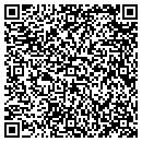 QR code with Premier Web Designs contacts