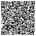 QR code with Bscene contacts