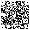 QR code with Protection 1 contacts