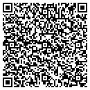 QR code with Published-Articles.com contacts