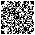 QR code with Nipsta contacts