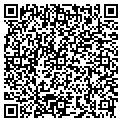 QR code with Mitchell Media contacts