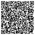 QR code with Nspirio contacts