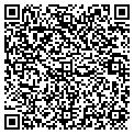 QR code with Wolff contacts
