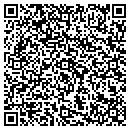 QR code with Caseys Syko Design contacts